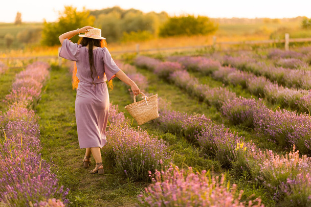 beautiful young woman in a field of lavenders  - Photo, image