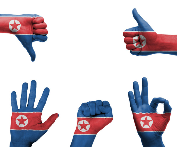 Ensemble de main avec le drapeau de la Corée du Nord
 - Photo, image