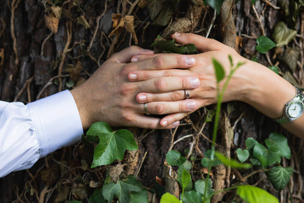 novomanželé pár ruce se snubními prsteny objímající strom - Fotografie, Obrázek