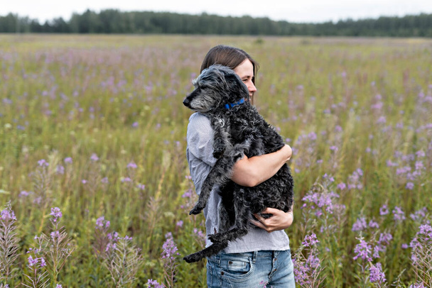 young smiling woman holding gray fluffy senior dog in hands on meadow with flowers of fireweed , pet love and care, walking with dog, beauty in nature friendship - Valokuva, kuva