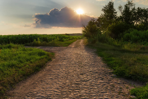 Camino rural pavimentado con piedras contra los terrenos agrícolas, árboles y cielo con sol poniente - Foto, Imagen