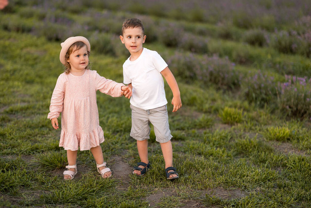 little boy and girl having fun  in a field of flowers - Foto, afbeelding