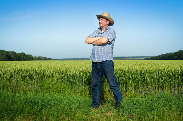 Senior farmer standing in a wheat field examining the harvest on a sunny day. Plantation care idea. - Foto, afbeelding