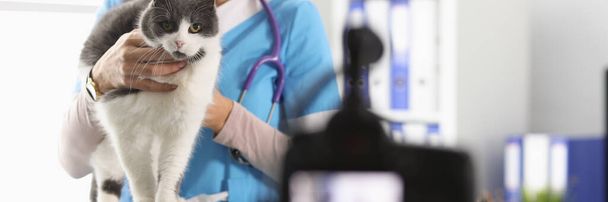 女性獣医師保持猫とクリニックでの撮影 - 写真・画像