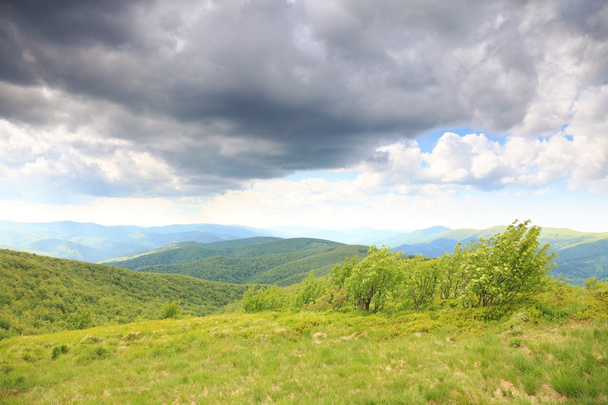 Zielona góra krajobraz w lecie - Zdjęcie, obraz