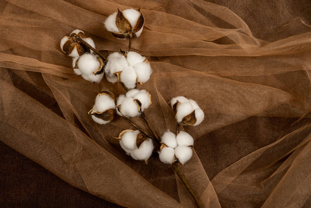 branche de coton décorative sur tissu en tulle marron avec paillettes et rides - Photo, image