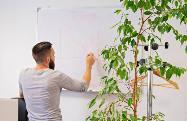 Man office worker student draws chart on whiteboard in modern office meeting room during lesson brainstorm. Rearview of bearded man in modern light class room with house plant - Fotografie, Obrázek