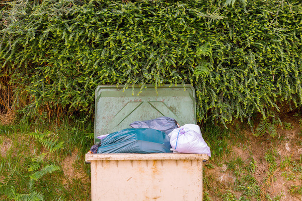 Garbage container full of bags next to a wall with climbing plants  - Photo, Image