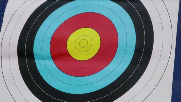 People shooting arrows - Footage, Video
