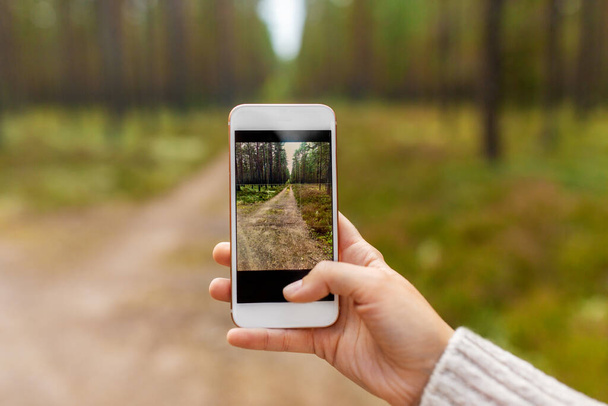 hand using smartphone to take picture in forest - 写真・画像