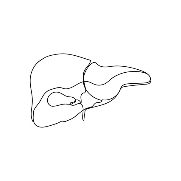 Human liver with gallbladder one line art. Continuous line drawing of human, internal, organs, gastrointestinal tract. - Вектор,изображение