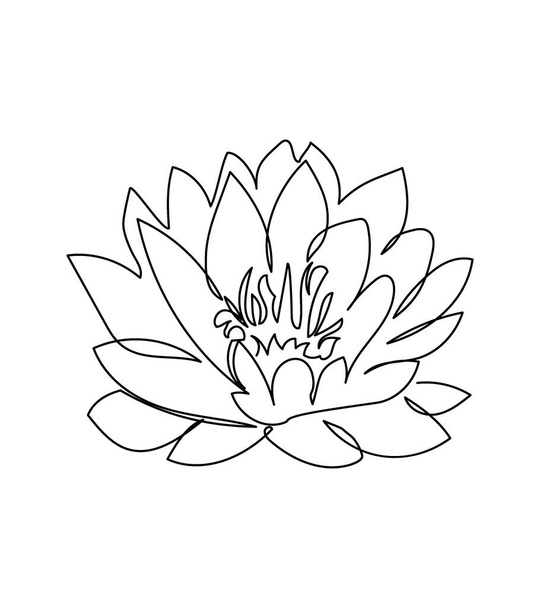 Waterlelie bloem een lijn kunst. Continue lijntekening van planten, kruiden, bloemen, bloesem, natuur, flora, lotus. - Vector, afbeelding