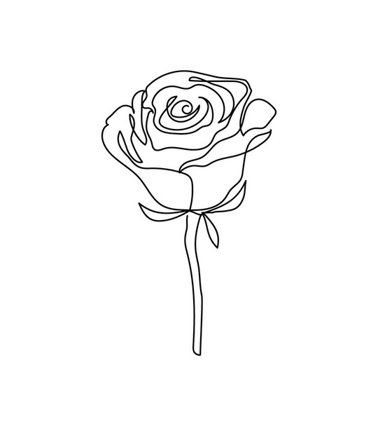 Rose flower one line art. Continuous line drawing of plants, herb, flower, blossom, nature, flora, garden flowers. - ベクター画像