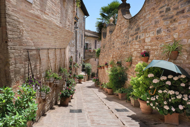 flowery alley in the historic center of spello umbria - Foto, Imagen