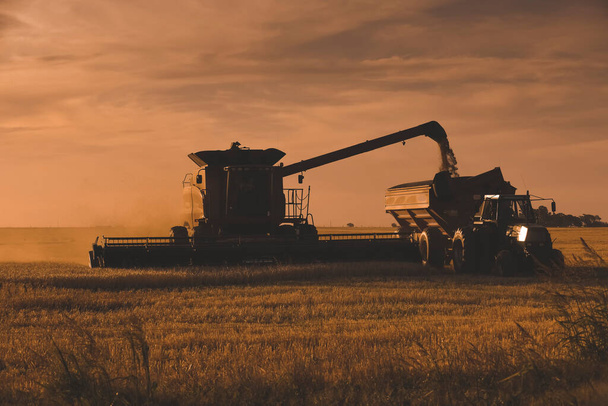収穫機,アルゼンチンの田舎で収穫,ブエノスアイレス州,アルゼンチン. - 写真・画像
