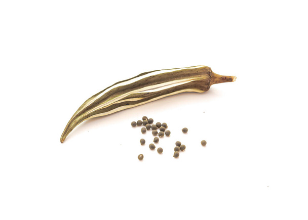 One dried okra pod with seeds isolated on white background. Homegrown mature and dry lady finger pod for saving seeds - Photo, Image