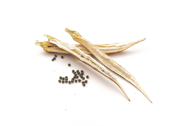gousses de gombo pelées avec des graines prêtes à être plantées isolées sur du blanc - Photo, image