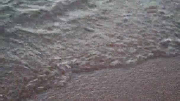 água-viva foi lavada em terra por uma onda - Filmagem, Vídeo