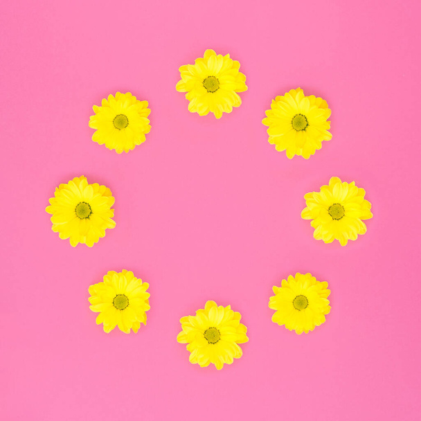 ピンクの背景に輪状に並んだ黄色いデイジーの花 - 写真・画像