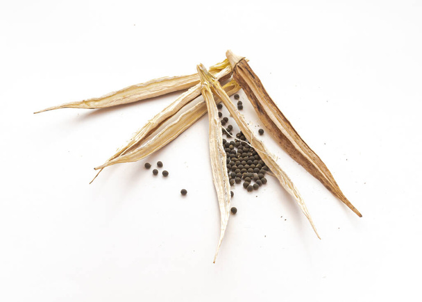 Kuoritut okra palot siemenet valmis istutettavaksi eristetty valkoinen - Valokuva, kuva