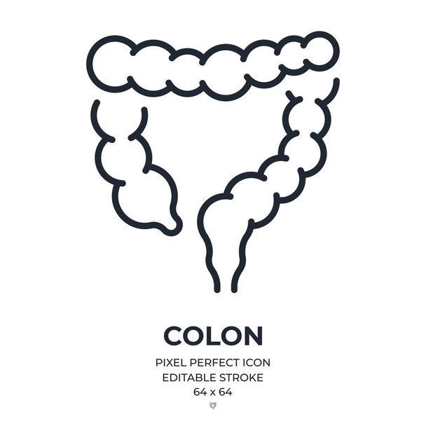 Colon o intestino crasso modificabile icona contorno isolato su sfondo bianco illustrazione vettoriale piatta. Pixel perfetto. 64 x 64. - Vettoriali, immagini