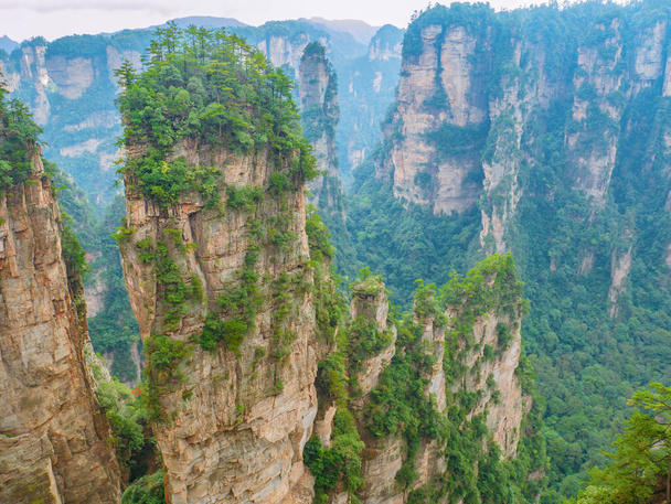 Прекрасна гірська алея Юаньцзяджі або гора Авартар у Національному лісовому парку Чжанцзяджі у Вулінгюанському районі Чжанцзяджі (Китай). - Фото, зображення
