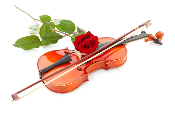 violin and red rose isolated on white background - Φωτογραφία, εικόνα