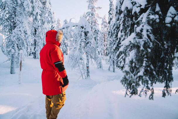 Young male explorer standing in winter wood with tall snowy trees during journey on vacations, rear view of man in trendy warm coat explore wanderlust destination - Photo, Image