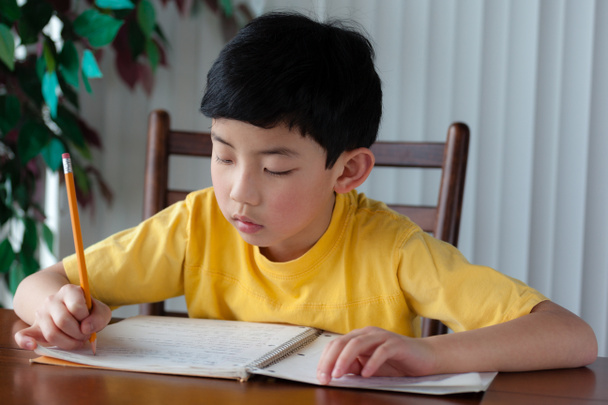 Симпатичный азиатский мальчик, выполняющий домашнюю работу
 - Фото, изображение