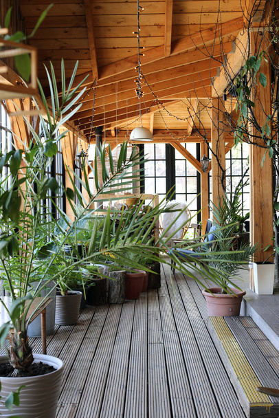stijlvolle wintertuin gazebo met design planten - Foto, afbeelding