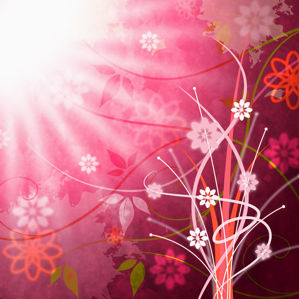 Soleil rayons du soleil montre faisceau floral et floral
 - Photo, image