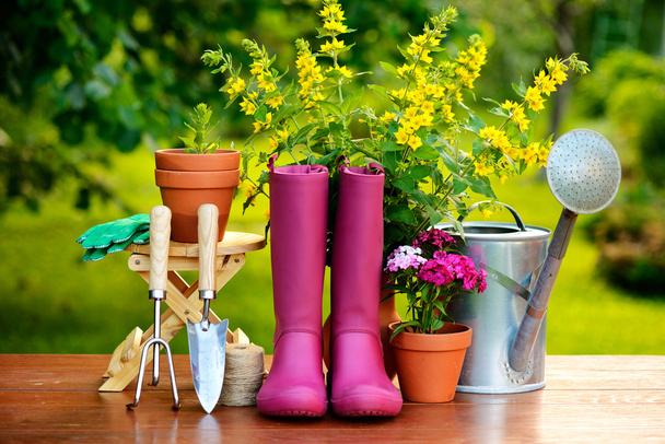 Gardening tools on wooden table and green background - Photo, Image