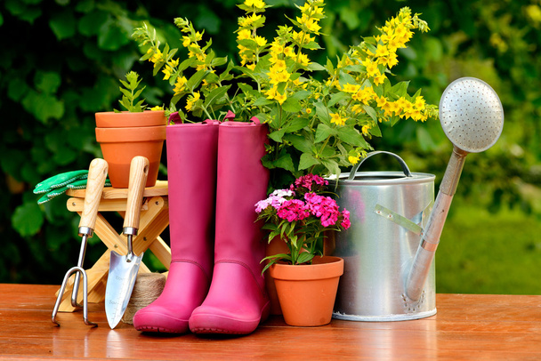 εργαλεία κηπουρικής για ξύλινο τραπέζι και το πράσινο φόντο - Φωτογραφία, εικόνα