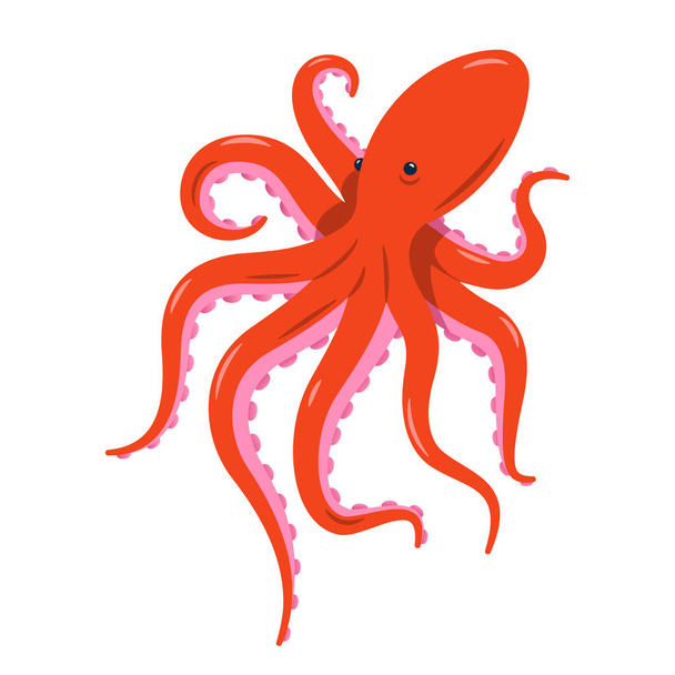 Red octopus isolated vector illustration on white background. Marine life and animals concept. Cute sea monster, underwater predator. - Vector, Image