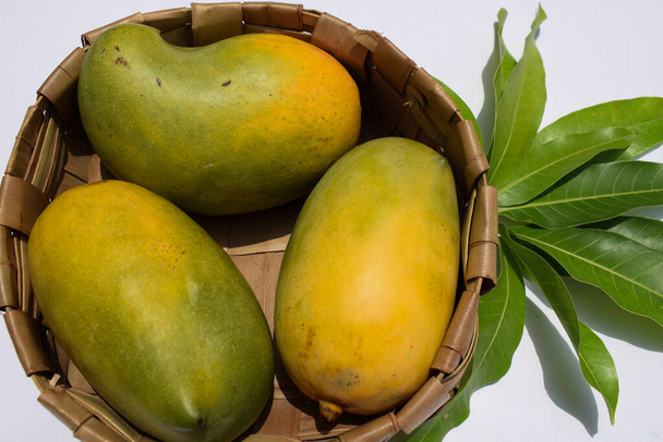 Lahodná odrůda Kesar Mango z částí Gujaratu a Maharastry. Gir les slavný druh krále ovoce Mango s názvem Kesar keri mango s mango listy v proutěném koši na bílém pozadí - Fotografie, Obrázek
