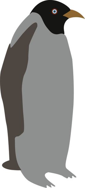 Illustrazione vettoriale del pinguino piatto - Vettoriali, immagini