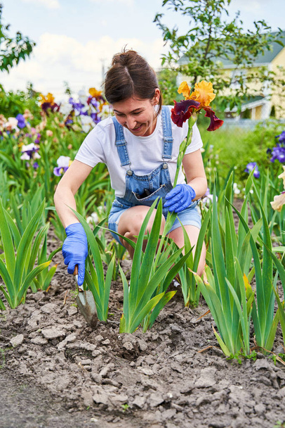 Housewife in blue gloves taking care of flower-garden - Photo, image