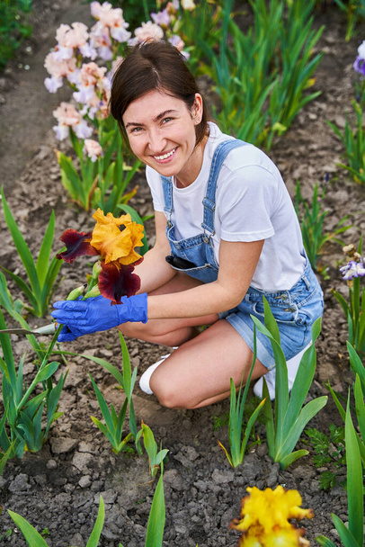 Female person taking care of flower garden - Photo, image