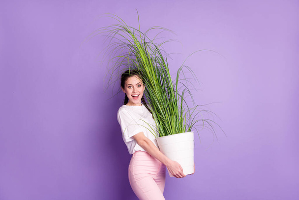 Portrait of impressed positive person hands hold plant open mouth cant believe isolated on purple color background - Фото, изображение