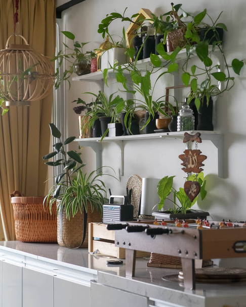 Zelené rostliny na bílých policích na bílé stěně v obývacím pokoji. - Fotografie, Obrázek