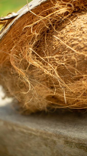 částečně oloupaný kokosový přírodní - Fotografie, Obrázek