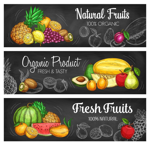 Trópusi gyümölcs és bogyós kréta bannerek vektoros vázlatokkal friss mezőgazdasági élelmiszerekről. Kerti alma, körte és őszibarack, egzotikus mangó, narancs, ananász és szőlő, görögdinnye, kivi és citromkréta vázlata - Vektor, kép