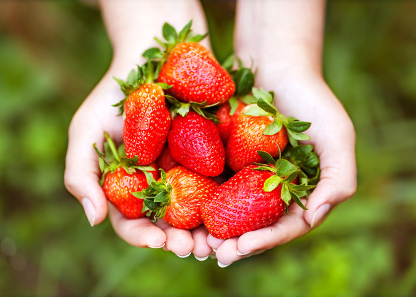 Strawberry in hands - Fotoğraf, Görsel