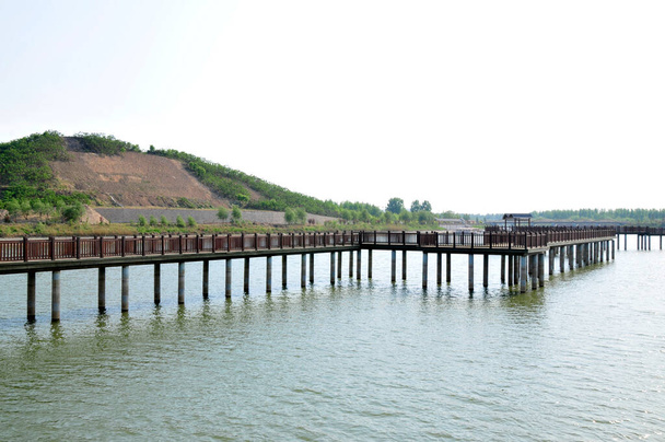 A híd faszerkezetének felületén - Fotó, kép