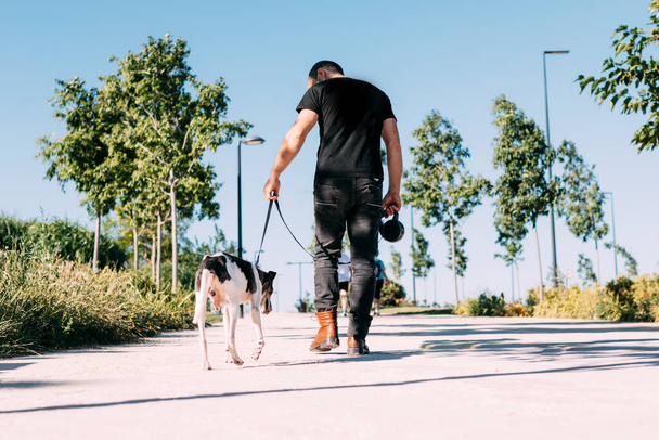 blanco caucásico hombre paseando perro senior en parque, enfoque selectivo, espacio de copia - Foto, Imagen