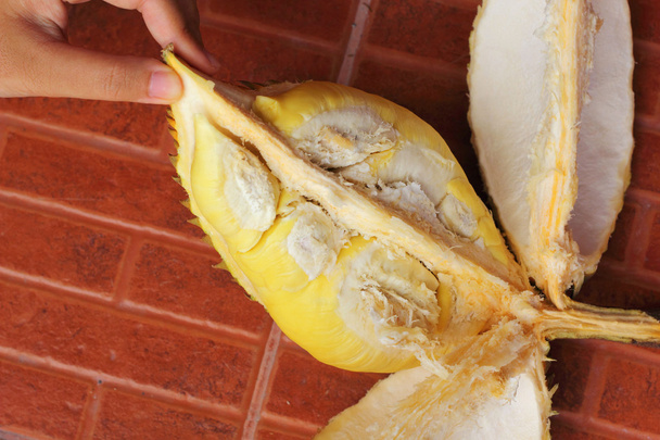 Durian hedelmät kypsä syödään kädessä - Valokuva, kuva