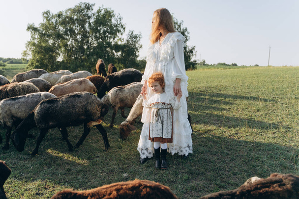 The beautiful woman in a white lace dress spending time with her little redhead daughter on the field with goats and sheep - Foto, afbeelding