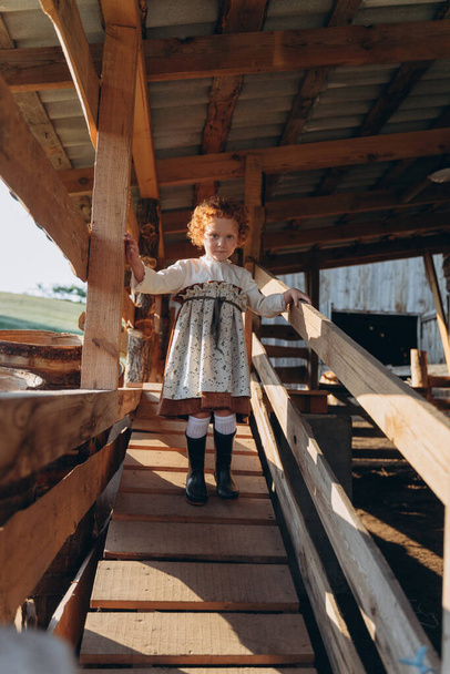 beautiful little redhead girl dressed in vintage dress walking on the wooden stairs in the farm barn - Valokuva, kuva