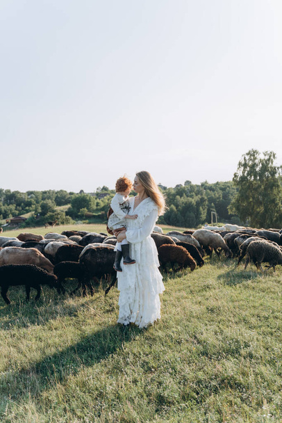 The beautiful woman in a white lace dress spending time with her little redhead daughter on the field with goats and sheep - 写真・画像