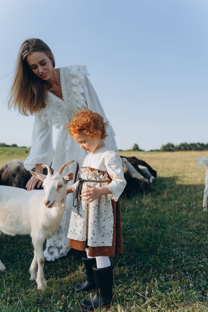 The beautiful woman in a white lace dress spending time with her little redhead daughter on the field with goats and sheep - Photo, Image